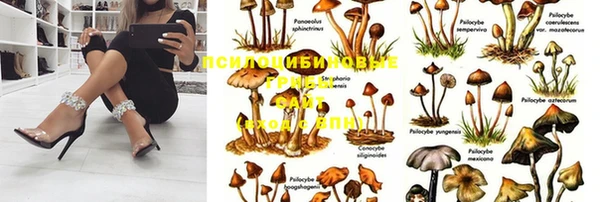 прущая мука Алексеевка